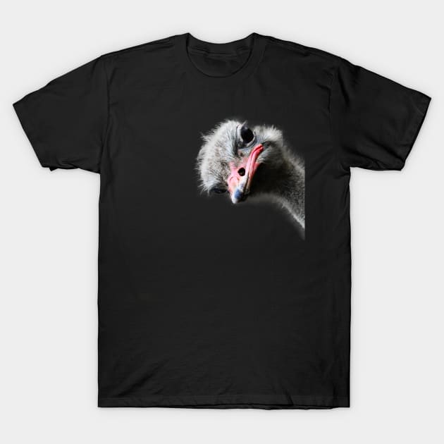 Funny Emu and Ostrich Lovers Design T-Shirt by Dibble Dabble Designs